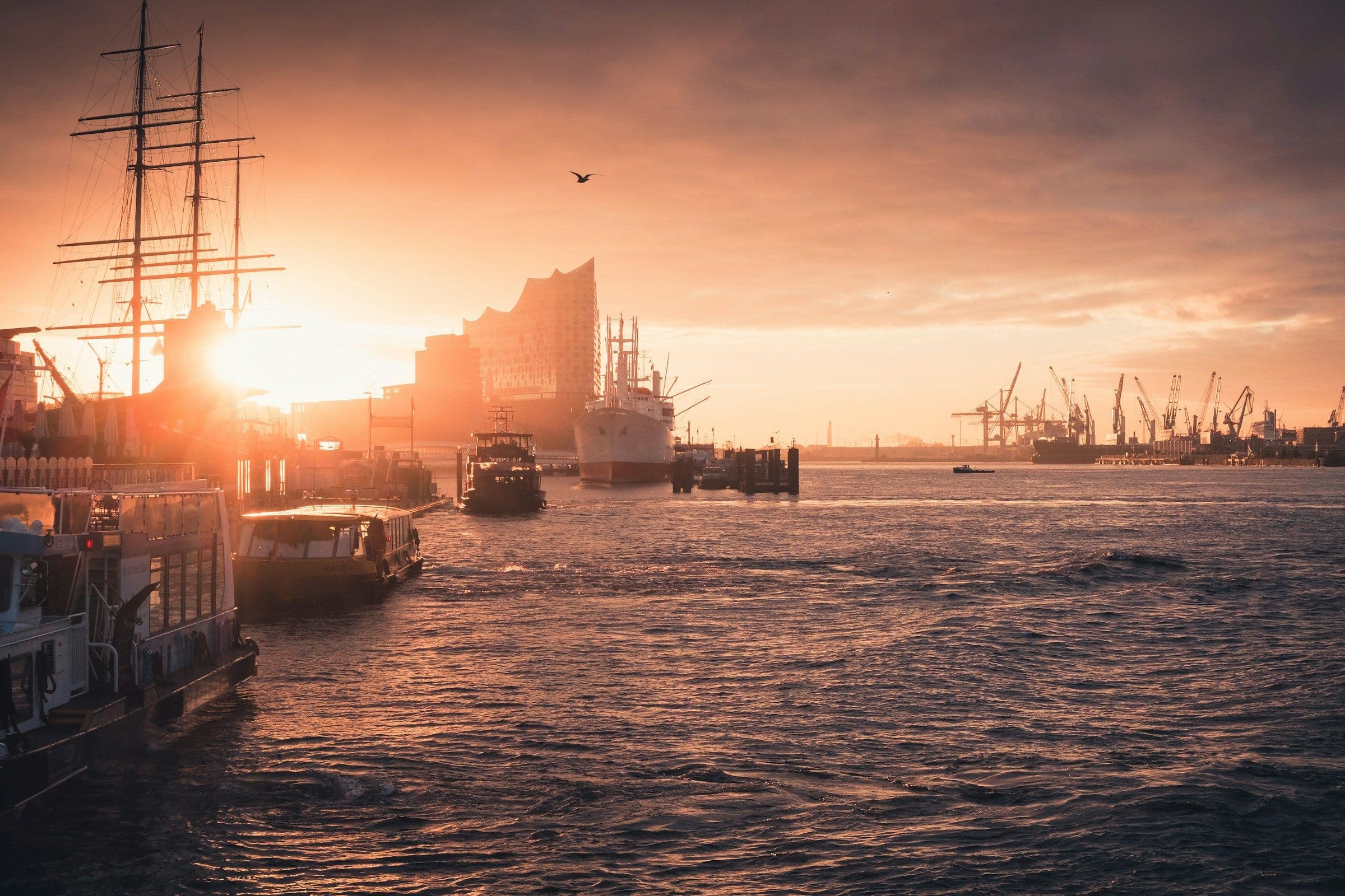 Kreuzfahrtschiff im Hamburger Hafen bei Sonnenuntergang mit Elbphilharmonie